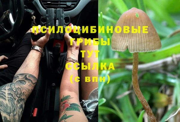 PSILOCYBIN Гусев