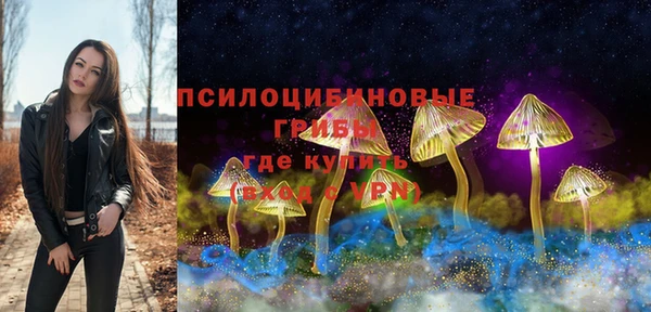 PSILOCYBIN Гусев