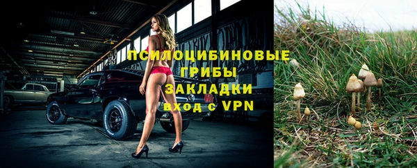 молекула духа Надым