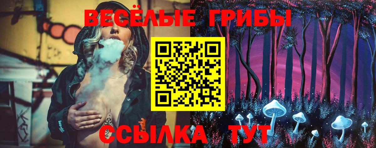 Псилоцибиновые грибы Psilocybine cubensis  Вход с VPN  купить наркоту  Новоуральск 